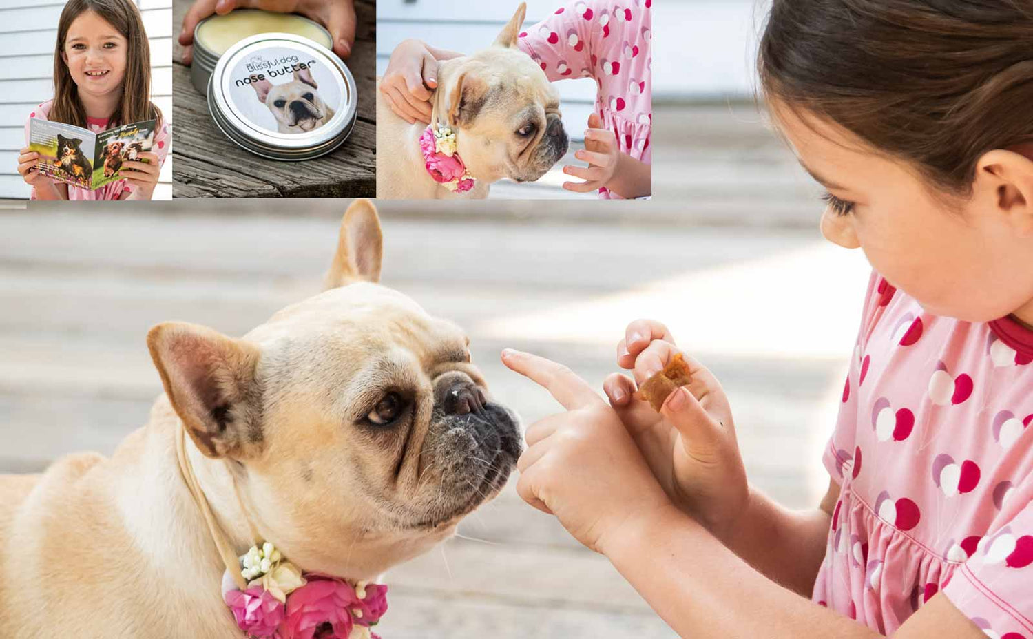 french bulldog nose butter